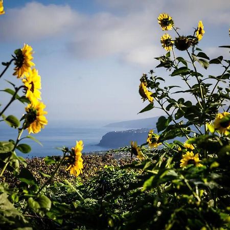 Finca Maranuela La Perdoma 外观 照片