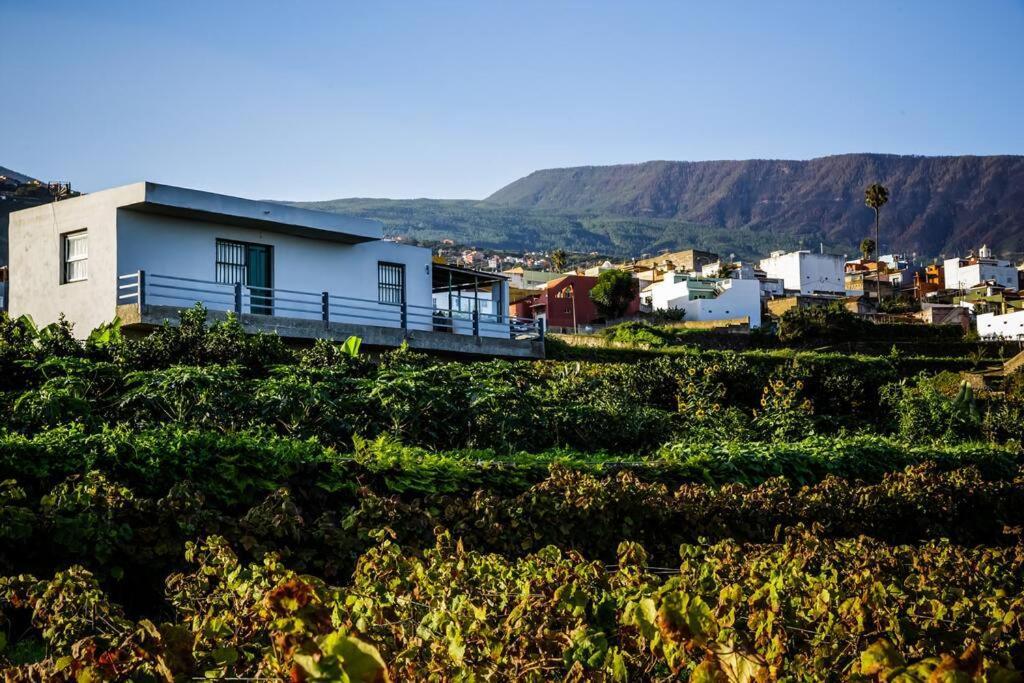 Finca Maranuela La Perdoma 外观 照片