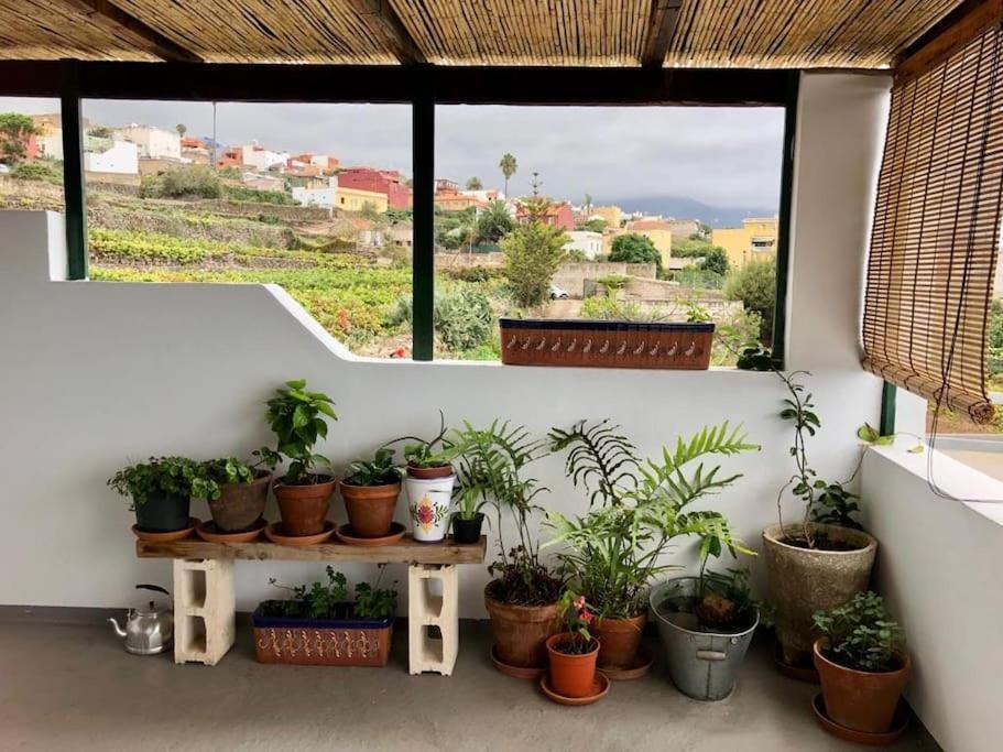 Finca Maranuela La Perdoma 外观 照片